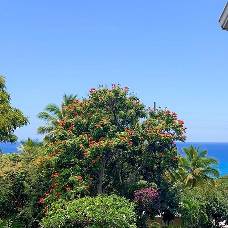 Appartement A Little Aloha à Kailua-Kona Extérieur photo